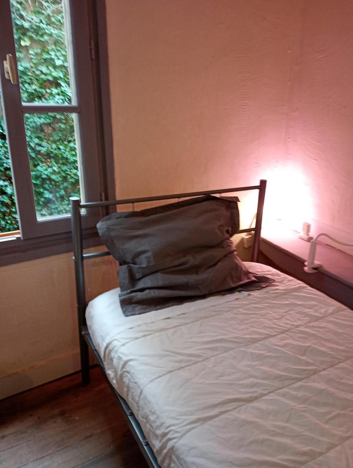 Апартаменти Duplex Center Thiers - Clermont-Ferrand - Lyon - Free Parking - Self-Check-In Екстер'єр фото