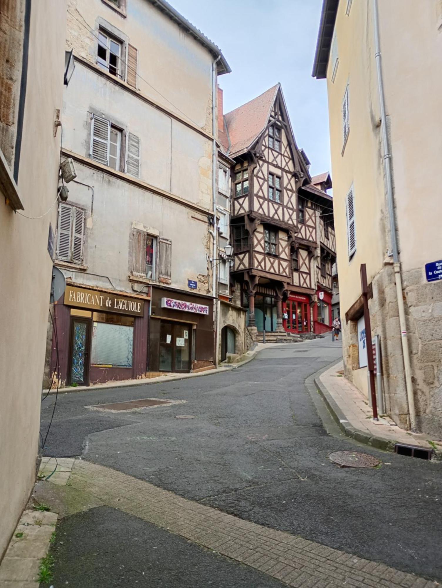 Апартаменти Duplex Center Thiers - Clermont-Ferrand - Lyon - Free Parking - Self-Check-In Екстер'єр фото